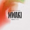 ZERB — MWAKI (TIESTO S VIP MIX